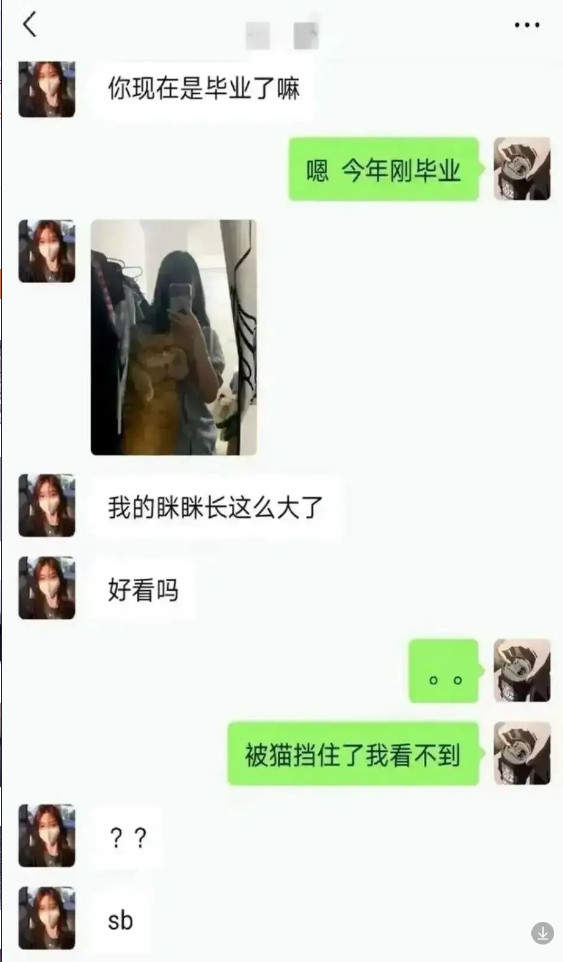 这个聊天是不是把天聊死了
