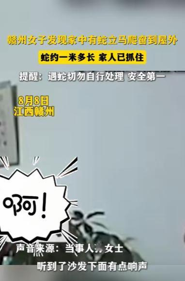 “太吓人了！”8月8日，江西赣州，一女子回家后，听到沙发下传来怪响，她蹲下一看，
