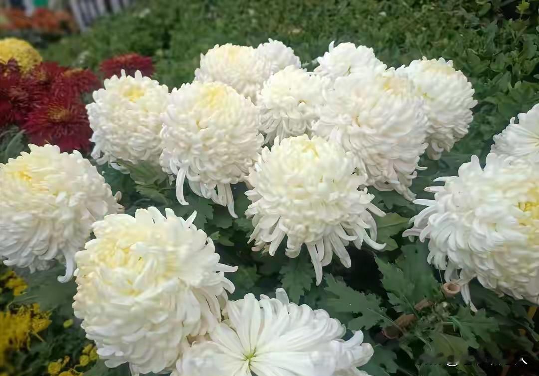 人老了，健康至关重要，它是生活的根基，是养老的保障，更是做人的底气与尊严。所以，