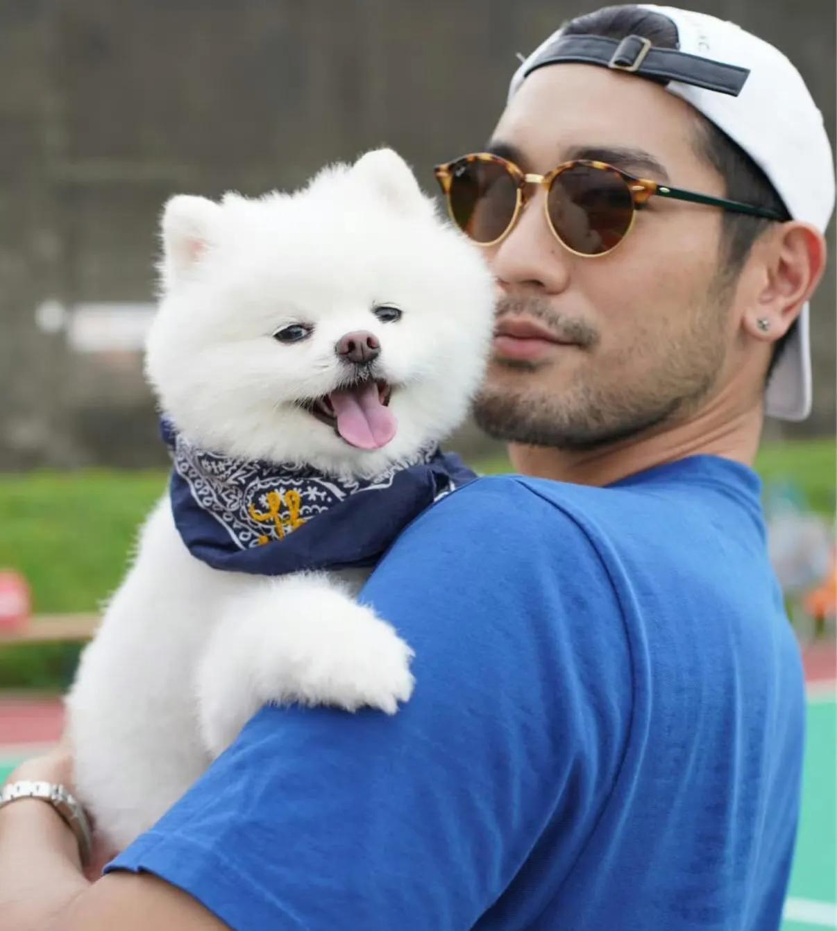 高以翔生前爱犬帝欧近日离世，好友透露它已前往天堂与高以翔及其父亲、爷爷团聚。高