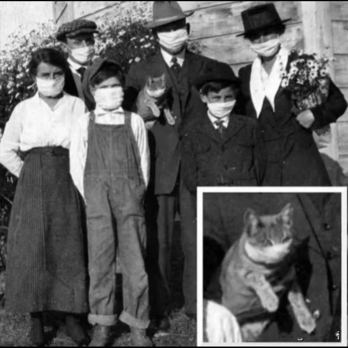 原来100年前的人是这样养猫咪🐱不是瞎猜，老照片里都有证据！给猫穿小布衫