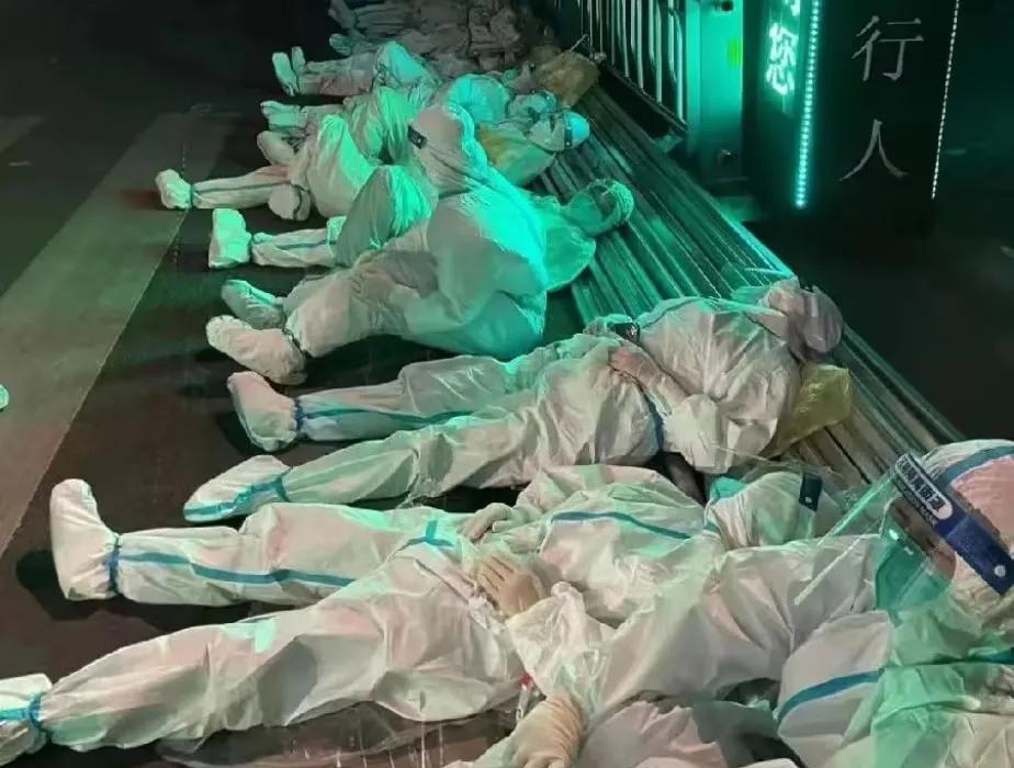说句得罪人的话她们、他们才是真正有资格学临床医学，真正有资格转执业医生，真正有