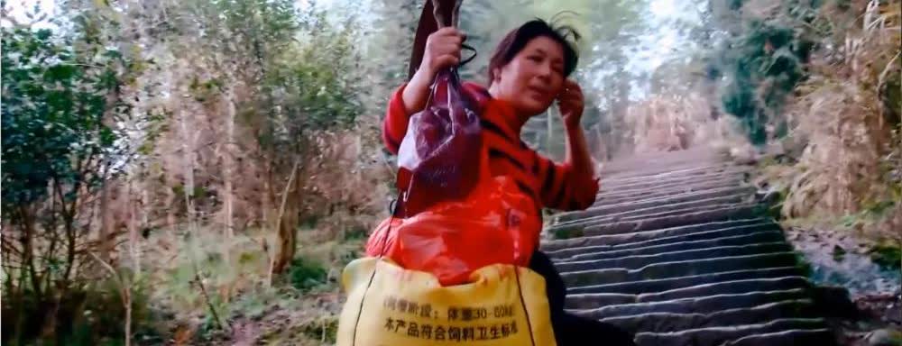 2013年，安徽黄山一女子丈夫早逝，她做挑山工20年，不辞辛劳将3个儿女抚养长大
