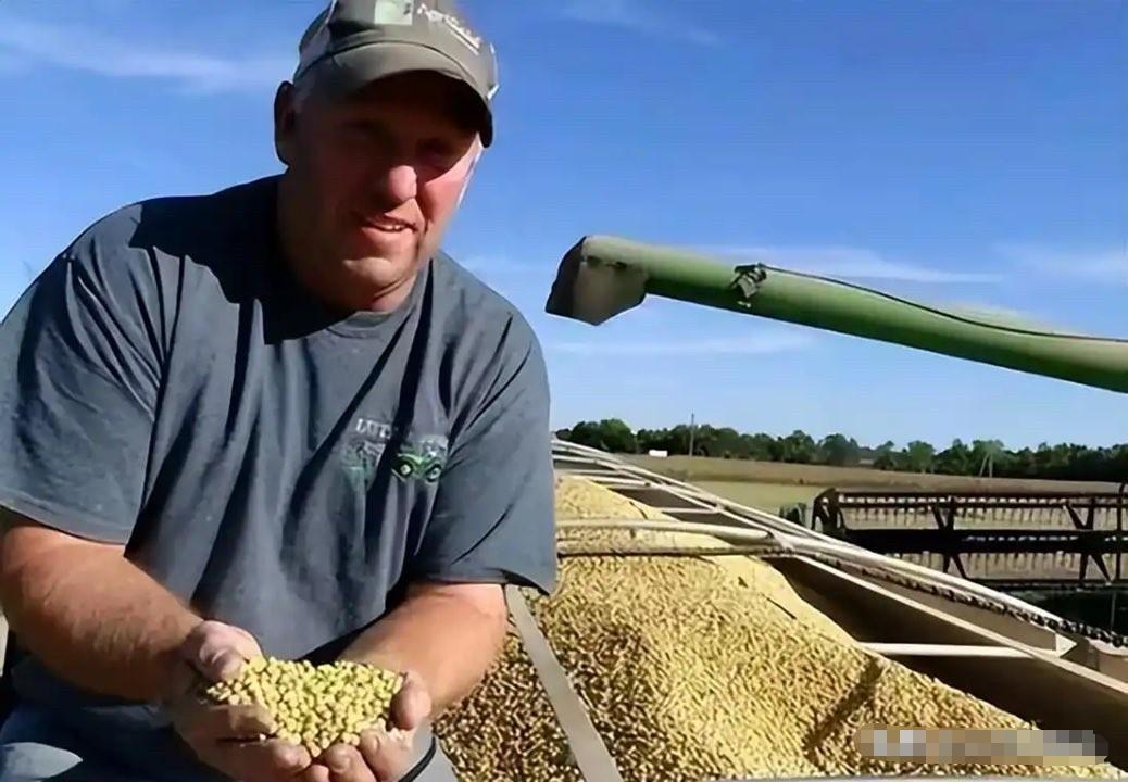 美国大豆堆积如山，中国一粒也不买，急坏美国豆农！有欧洲网友支招：美国可以进行报复