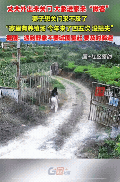 刷到条爆火的视频，直接被新华社转发，看完鼻子一酸！画面里大爷牵着狗散步，狗狗却总