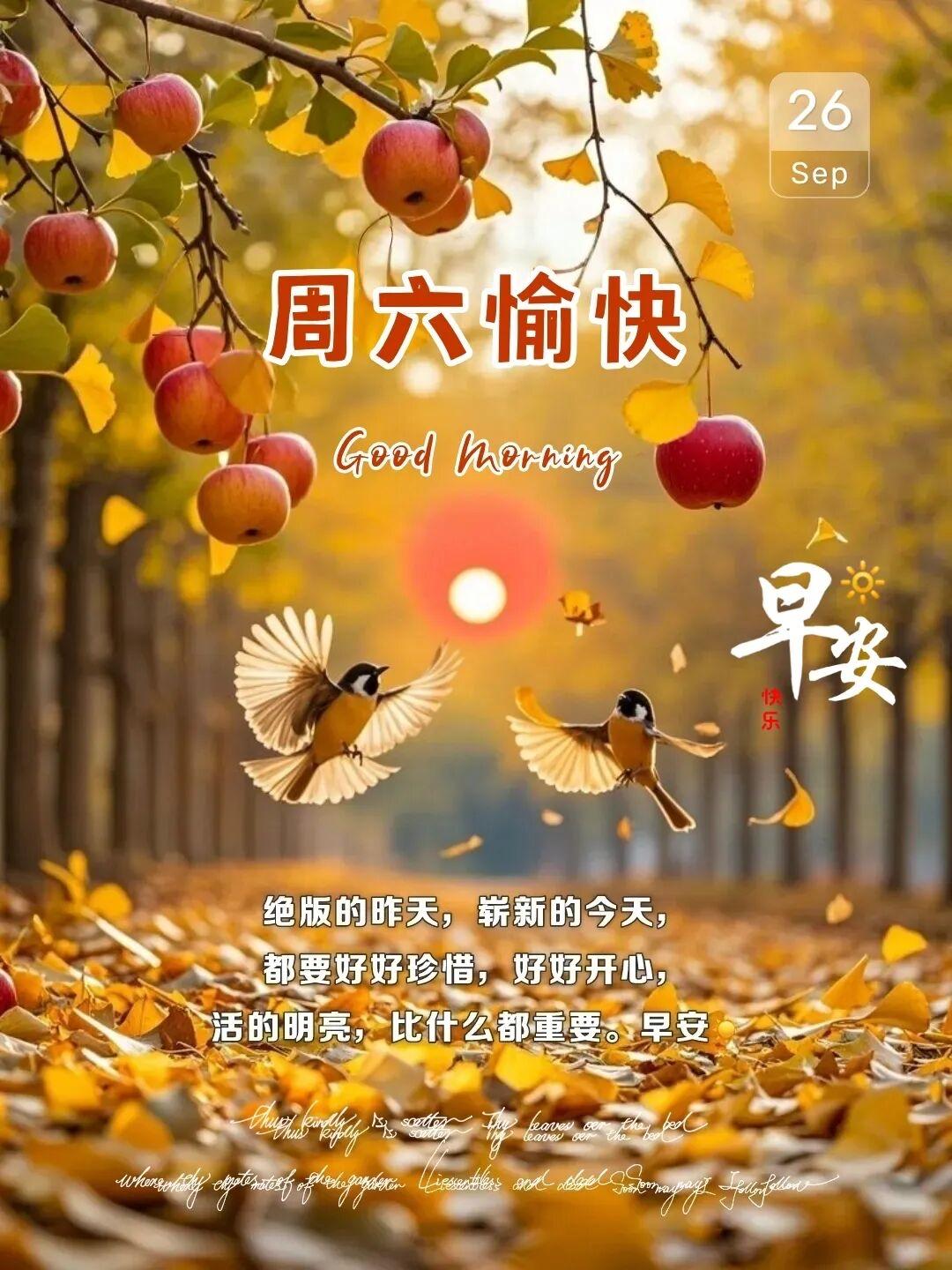 💕🌷🔆²⁰²⁶/₀₉.₂₆ᵕ̈ 🍃九月将尽，秋意已深。晨起推开窗，凉