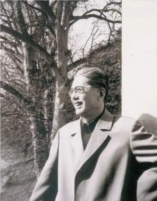 乔冠华过世后，心空得厉害的章含之提着行李箱跑去上海投靠生母，本想着母女俩到底骨肉
