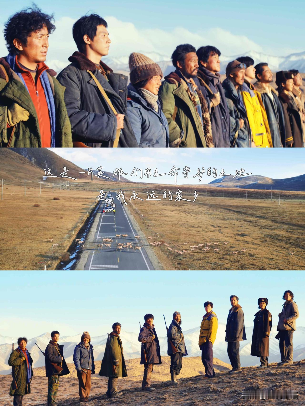 谁看《生命树》大结局不哭到破防！这情感浓度真的绝了，台词句句戳心，后劲大到走不出