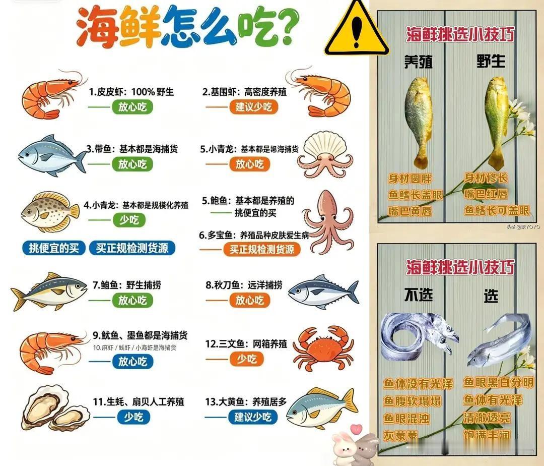 海鲜怎么吃？皮皮虾纯野生，碰上了敞开造。基围虾高密度养殖，别拿它当饭吃。