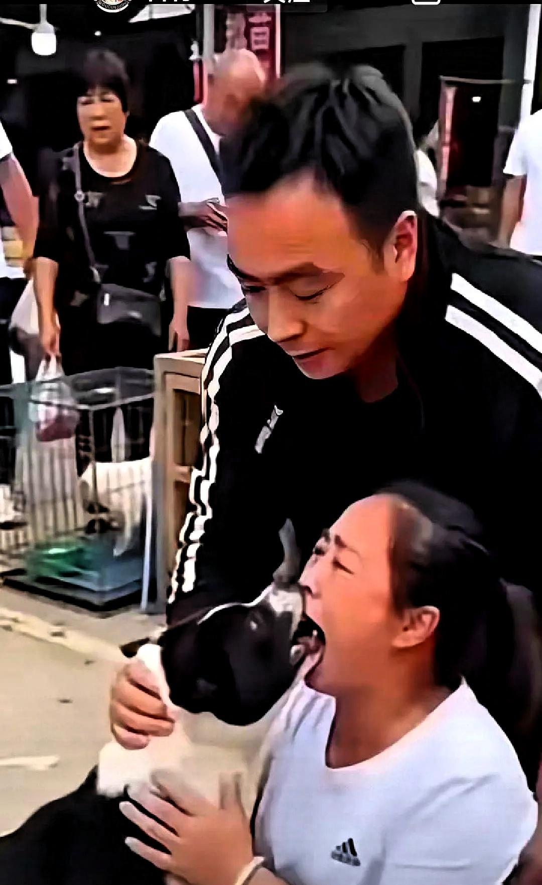 “它是我亲儿子，从来不咬人！”大妈抱着狗，冲着周围一圈人喊。一位大妈外出遛狗