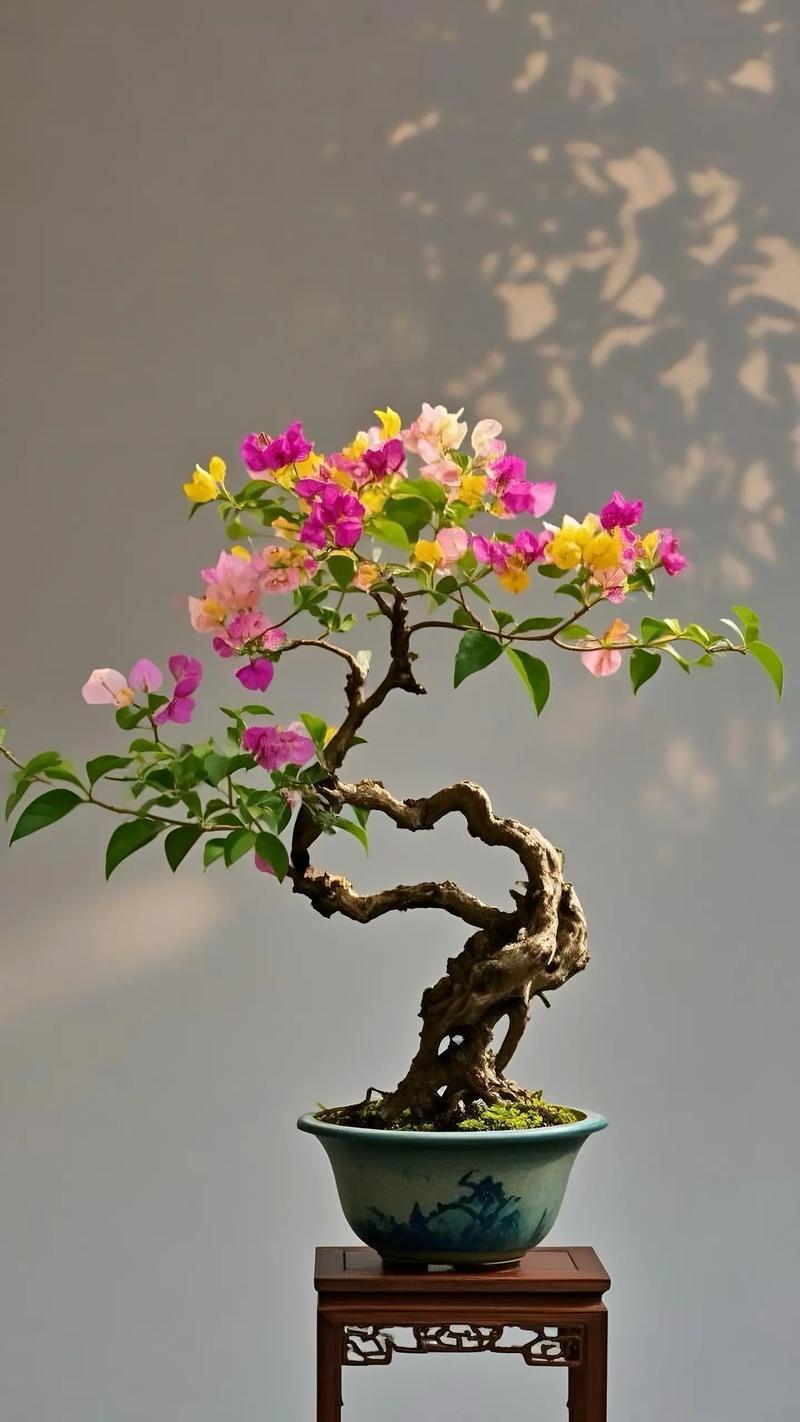 三角梅花败后是需要修剪的。及时修剪不仅能节省养分，还能打破顶端优势，促使侧芽萌发