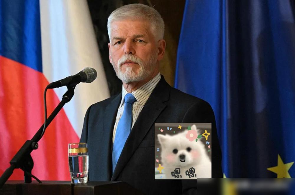 别信什么“代价可控”的鬼话。捷克人用真金白银，给“脱钩”二字标了价。电价一度