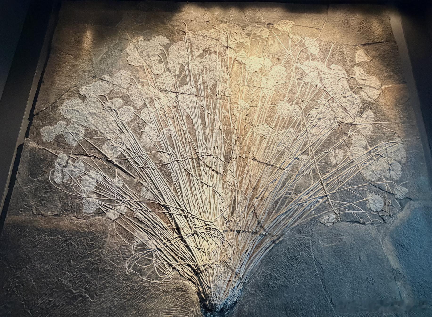 最快女护士张水华被医院处分写完上一条，我突然想到一个细思极恐的事情。如果，我是