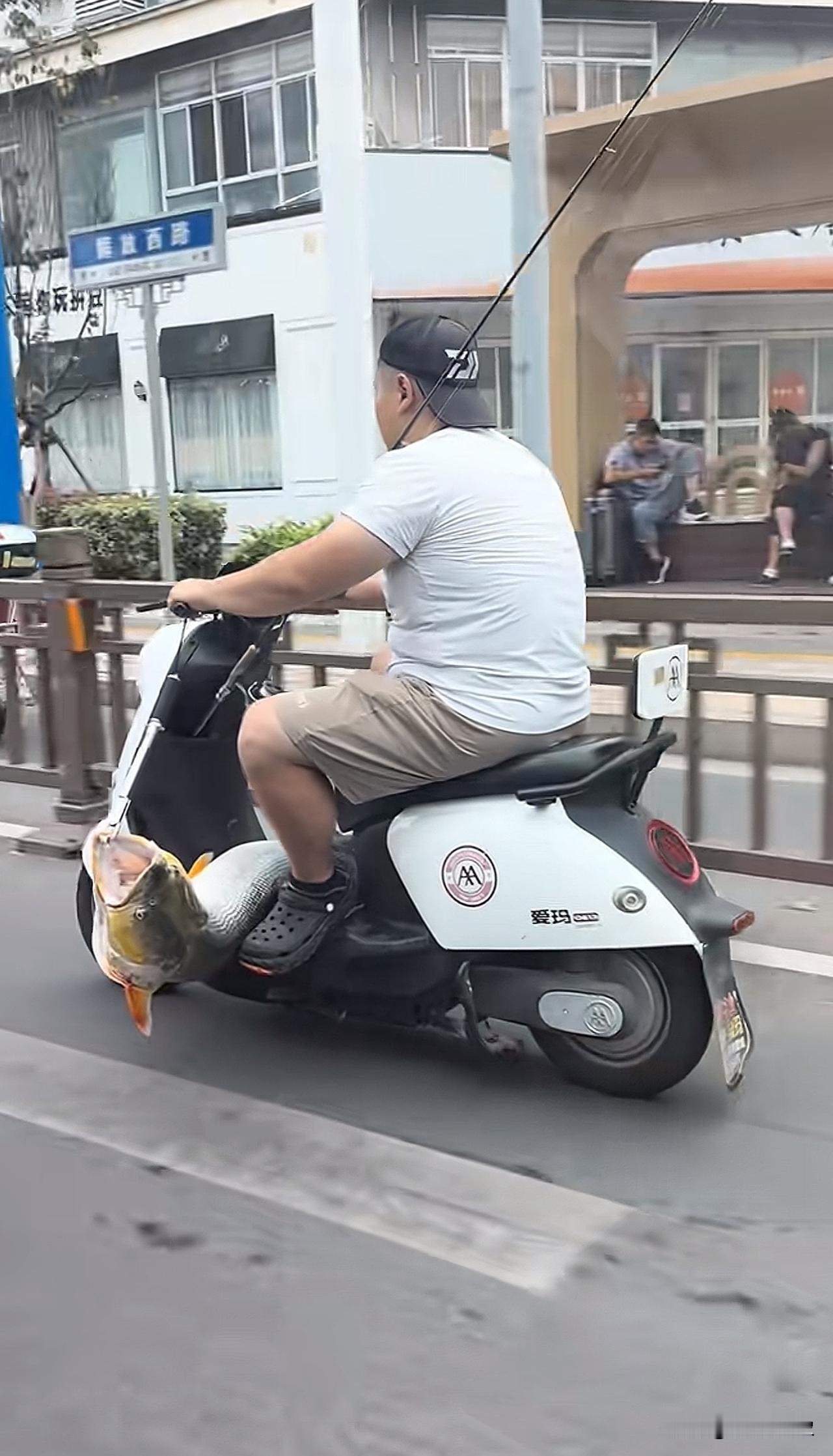 哥们你是迷路了吗[捂脸哭]刚就碰到了你一次，怎么找不到回家的路了[笑着哭]钓鱼佬