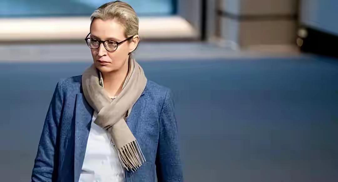 爱丽丝·魏德尔（AliceWeidel），德国选择党(AfD)联合主席。