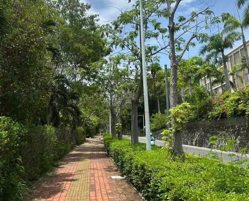 就事论事，海南三亚27岁女游客疑被蛇咬伤身亡这件事，有几个本来可以避免的细节行动