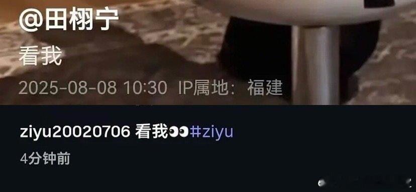 梓渝田栩宁撞文案了梓渝田栩宁同款文案梓渝田栩宁撞文案了，可能只是巧合吧​​​