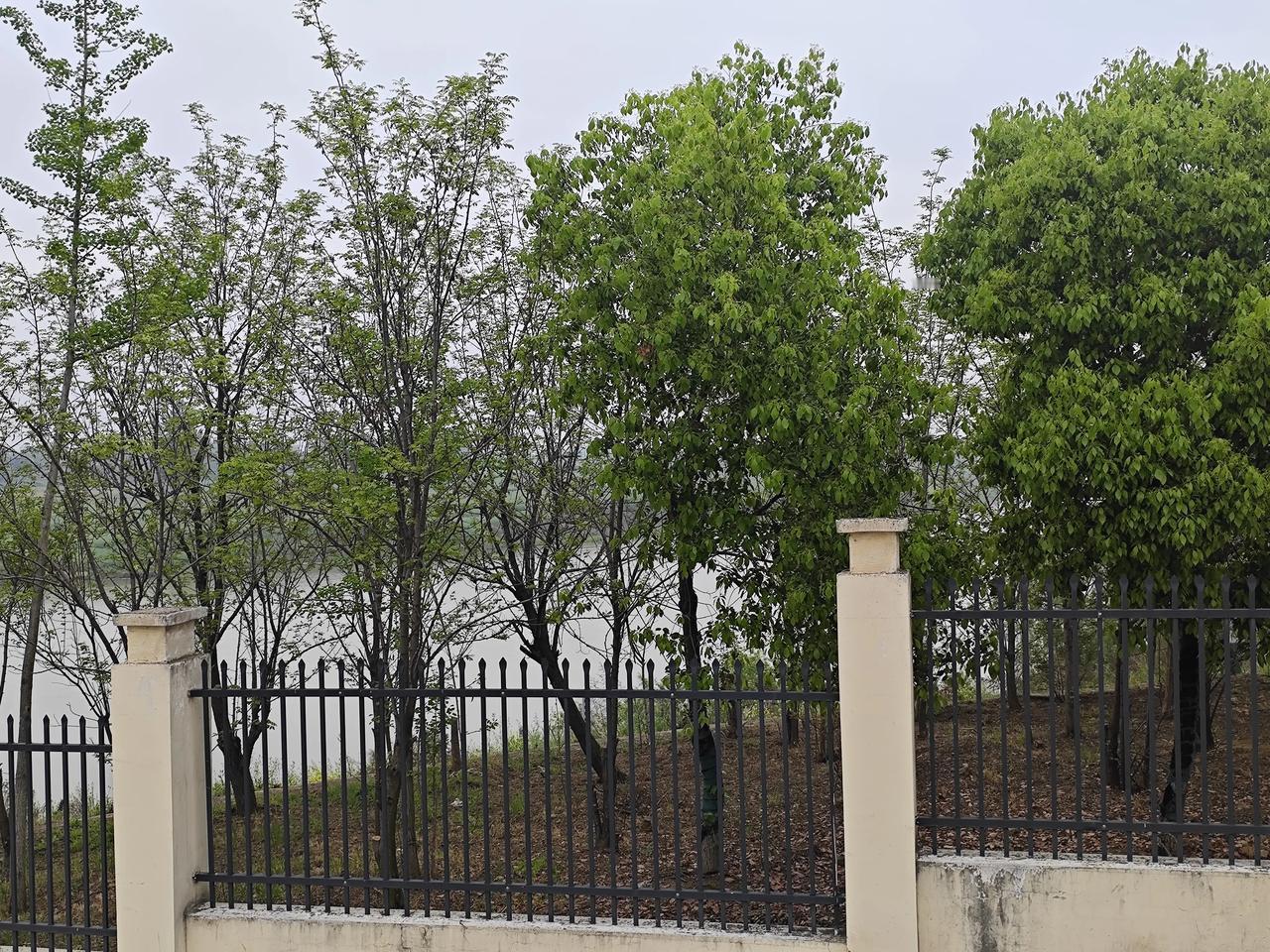 有的地方为什么教师没有独生子女费，当地给出的解释是教师发100%工资，所以就不能