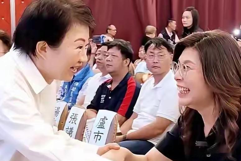 郑丽文当这个党主席遭老罪了！反观卢秀燕太有心眼了？这十个月郑丽文遭老罪了，民进