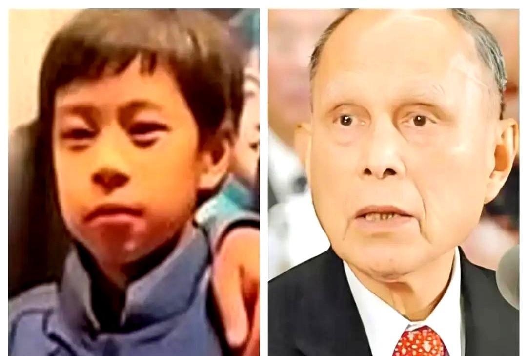 霍家这继承人，直接靠脸定下了？最近霍家回佛山祭祖，场面可不一般。12岁的霍中