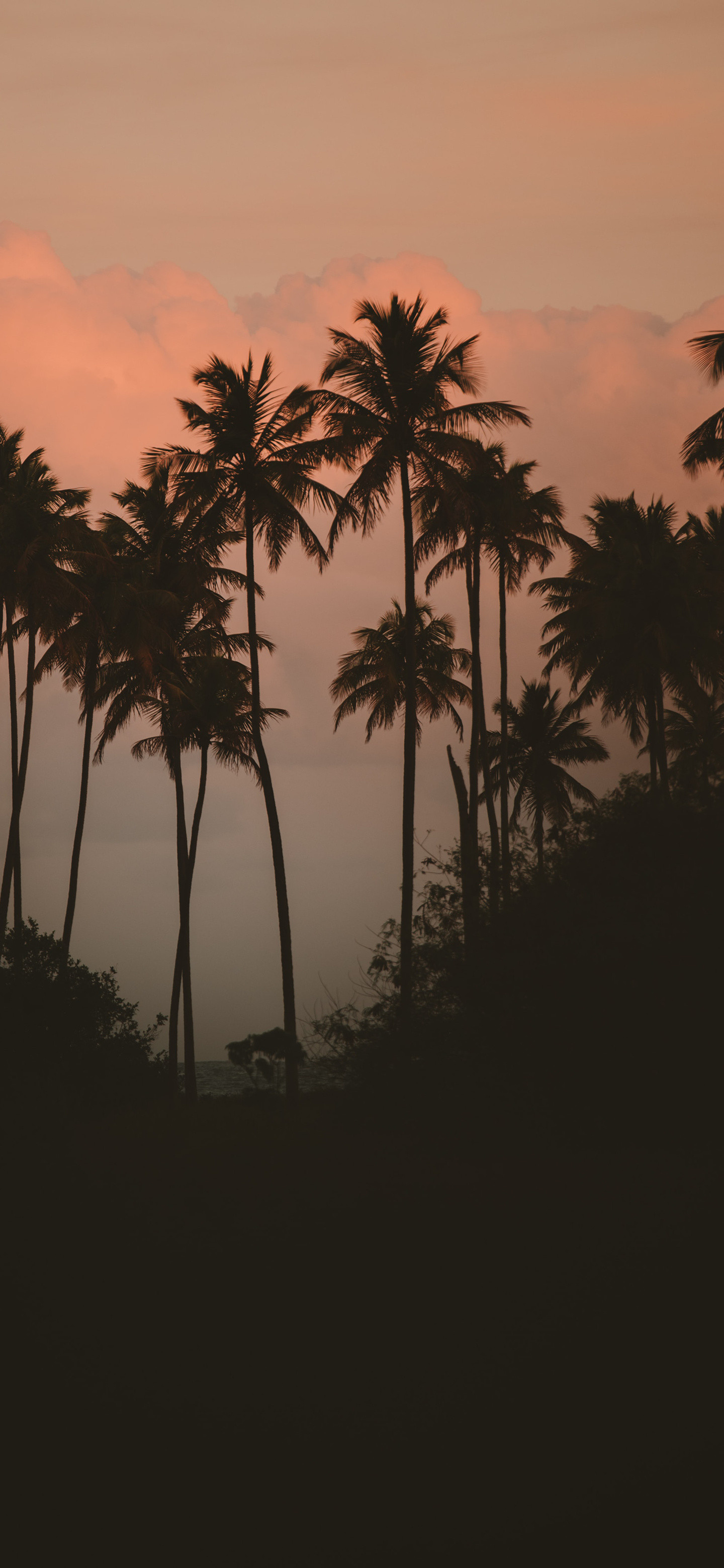 兄弟们早啊～周五周五敲锣打鼓了今日份壁纸已送达