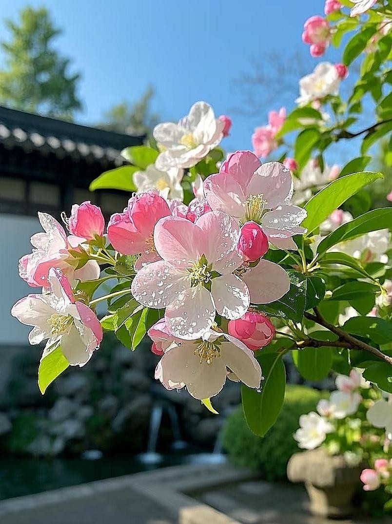 全款无贷款的房子攥在手里，下个月的开销从哪里来。这话听着像安慰。房子没贷款，确实少了每月那笔月供。可