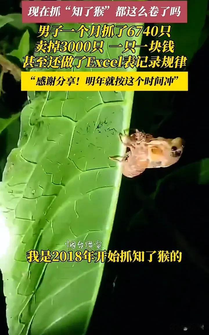 这名男子真是个人才！7月24日，山东潍坊一名男子发视频称，自己是从2018年开始