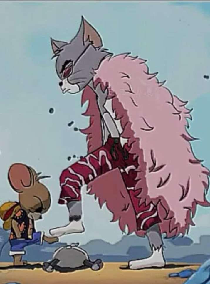 海贼王海贼王多弗朗汤姆大战蒙奇·D·杰瑞