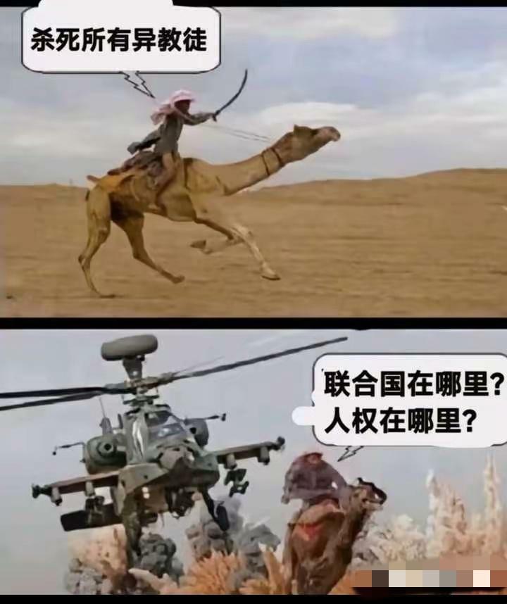内塔先生真棒。他教会了阿拉伯人学会了国际法。他教会了阿拉伯人知道联合国在哪里。他