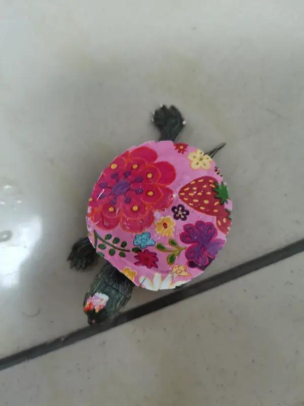 看到这则新闻，我难抑悲戚，潸然泪下。在鹤岗，有个年仅13岁的女孩，因父母离异、