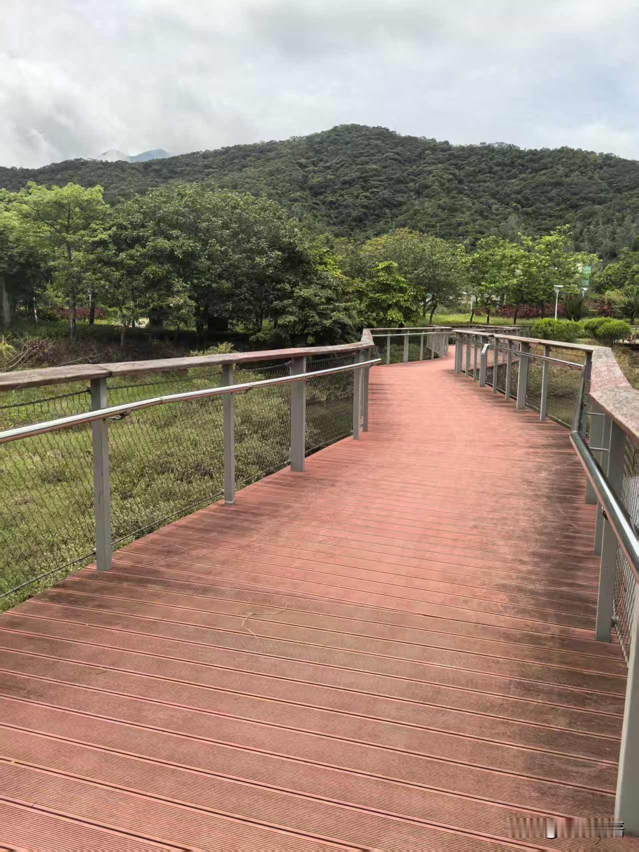 一位经济学家急切的说：为什么不增加老百姓收入，扩大内需，让消费来拉动经济增长？非