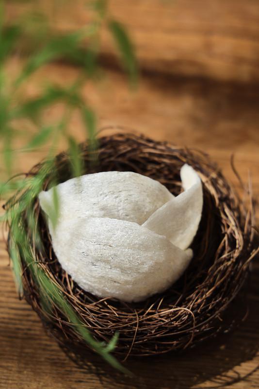 侄媳妇怀孕期间，一天一盅燕窝，有必要吗？昨天去哥家过年（过年期间