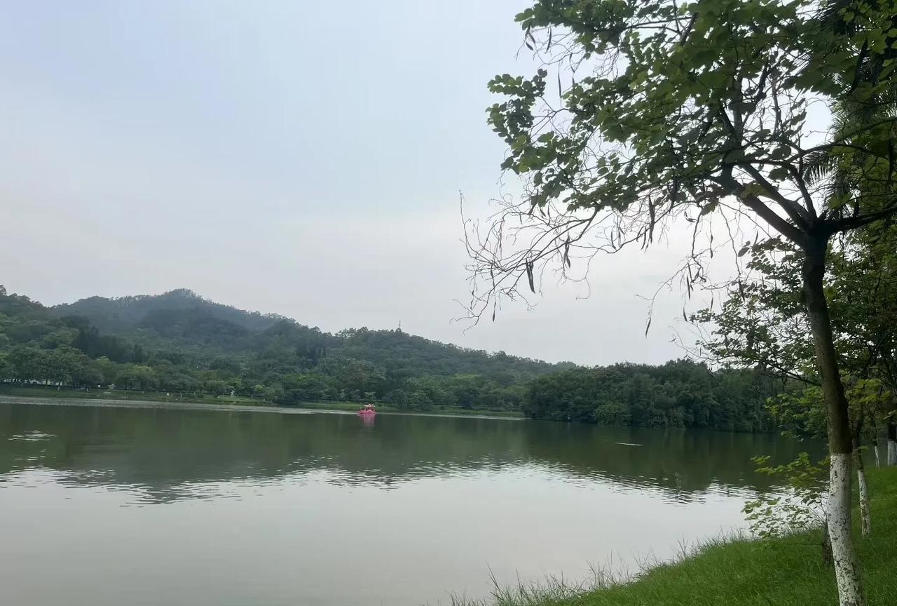 #头号创作者激励计划#一说起农村里的光棍泛滥成灾的问题，很多人就说，是因为女性