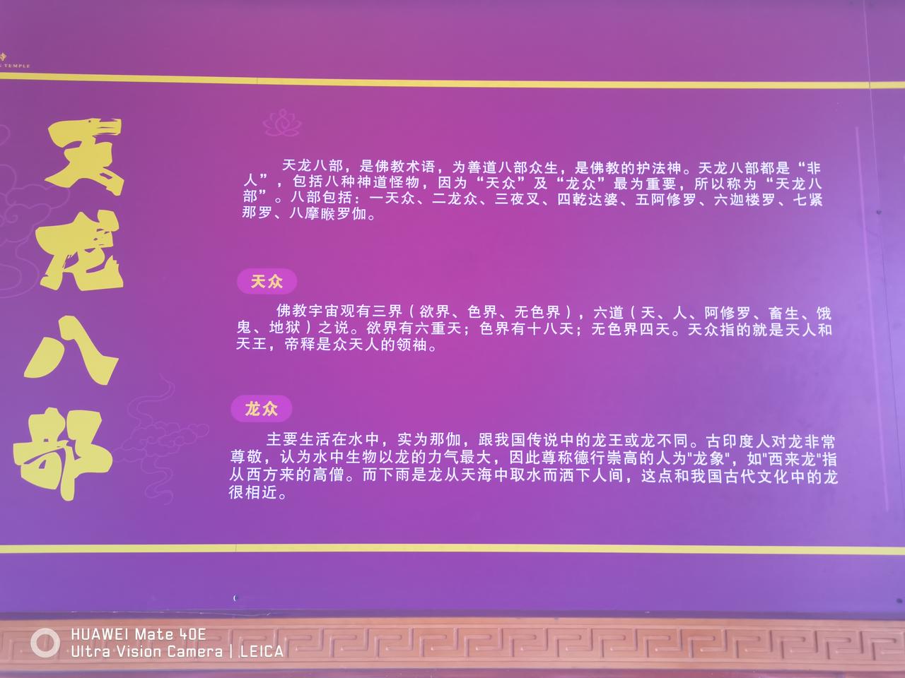 什麽是《天龍八部》？天龙八部，是佛教术语，为善道八部众生，是佛教的护法神。天