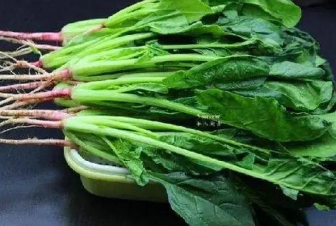 菠菜再次成为关注对象！医生发现：吃菠菜时，千万多留意这3点 菠菜，营养的“