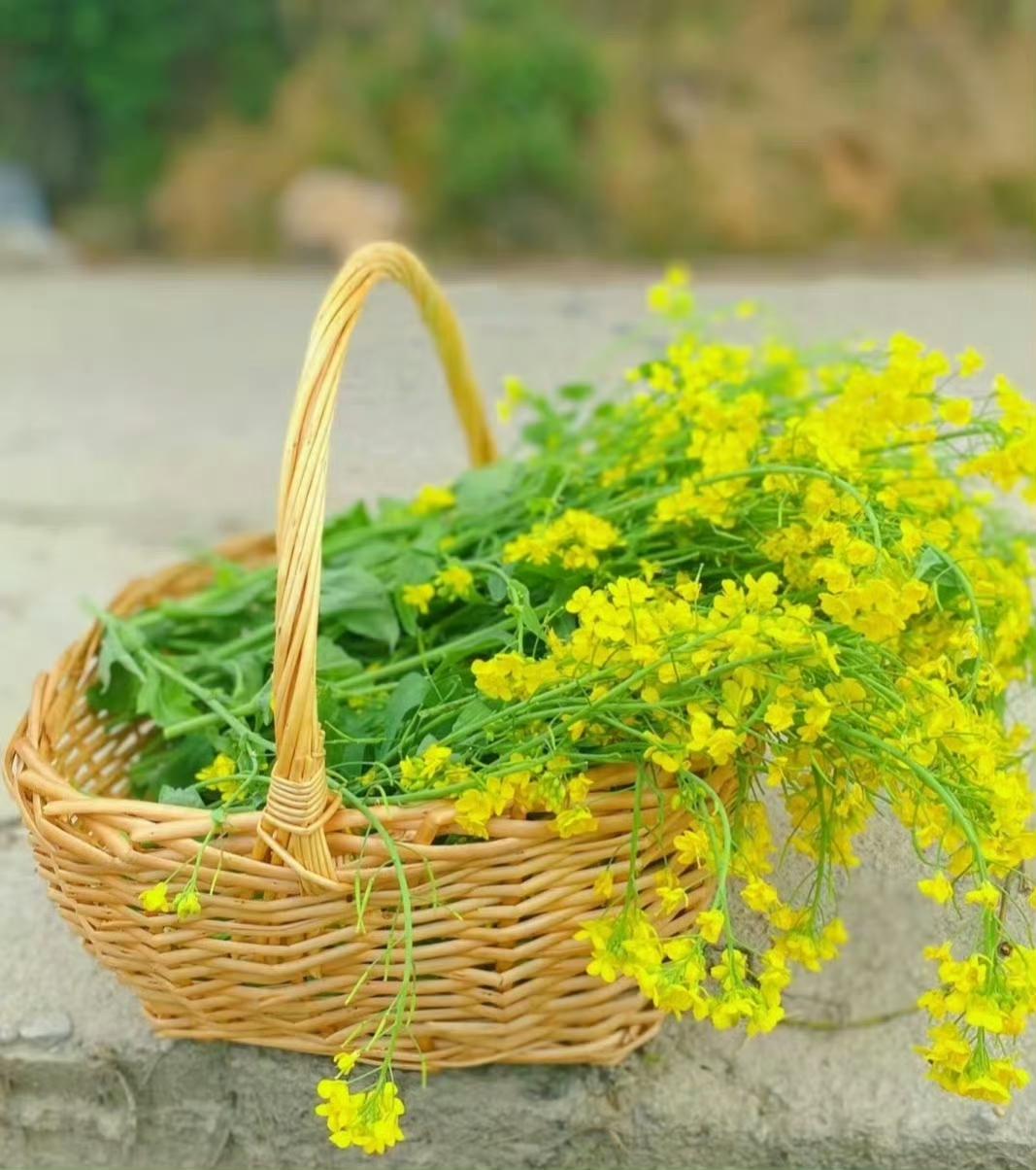 “正月初七·万事可期...”​​​​传统文化摄影祝福