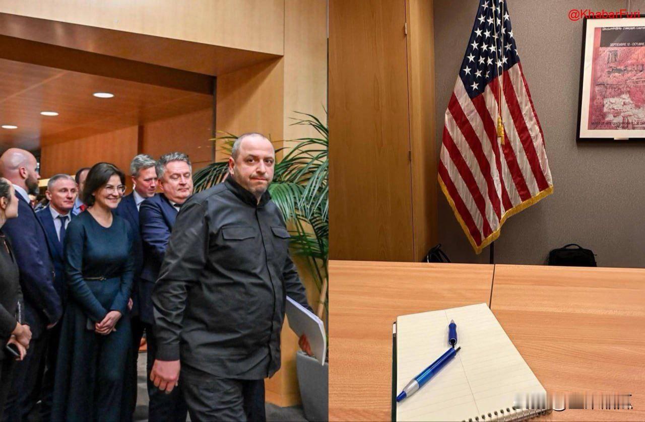 乌梅罗夫脚软了。在瑞士日内瓦，乌克兰国家安全与国防委员会秘书罗斯塔姆·乌马罗夫与