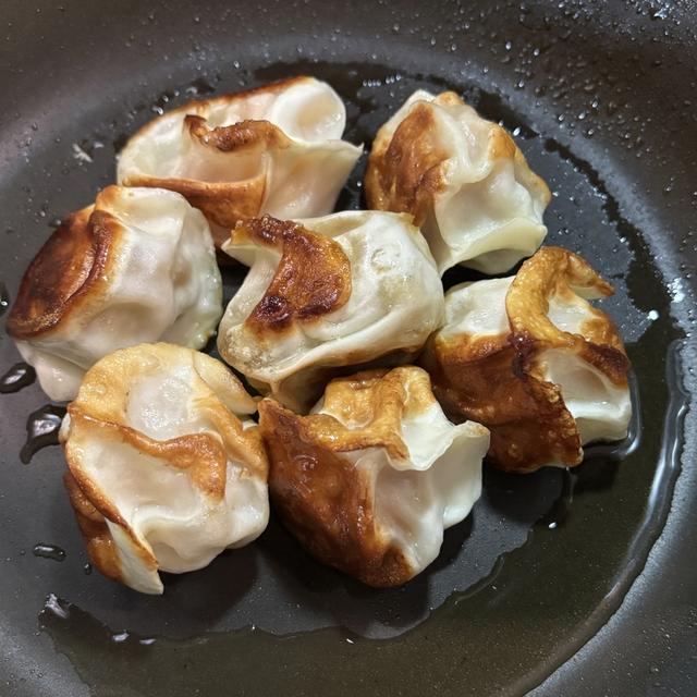 刘国斌: 好吃不如茴香饺子