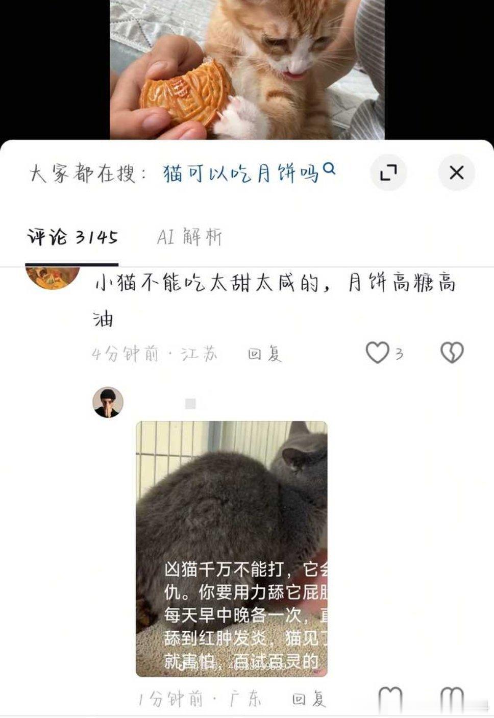 投稿​​​