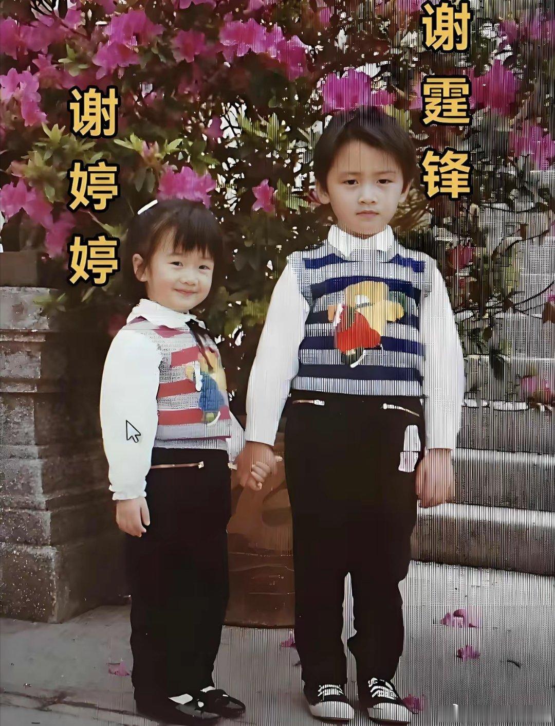 不得不说，谢霆锋，和妹妹谢婷婷小时候的样子，还挺可爱的！看这张画面，哥哥谢霆锋明