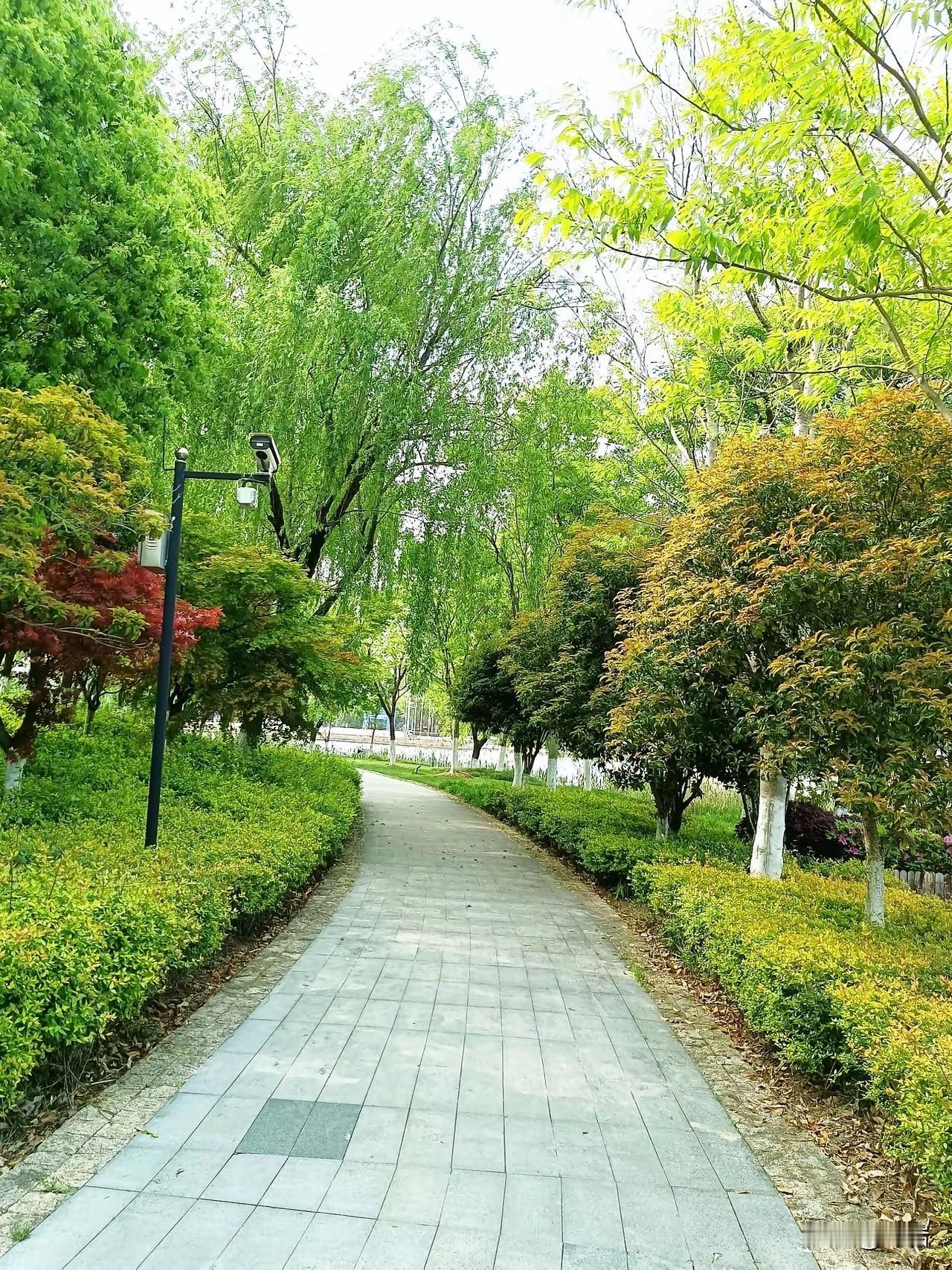 丁香与人生不必开得轰轰烈烈不必占据整个春天细碎的花瓣一簇簇，紧紧挨着