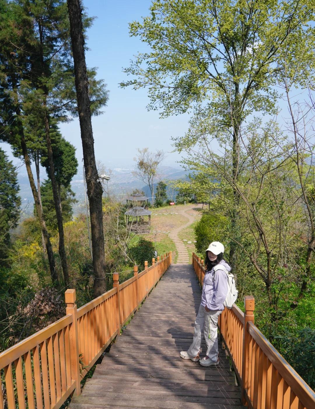 成都40min！登高望远徒步赏花🌸亲子也很友好本来是去鹅顽岭徒步的，发现很大