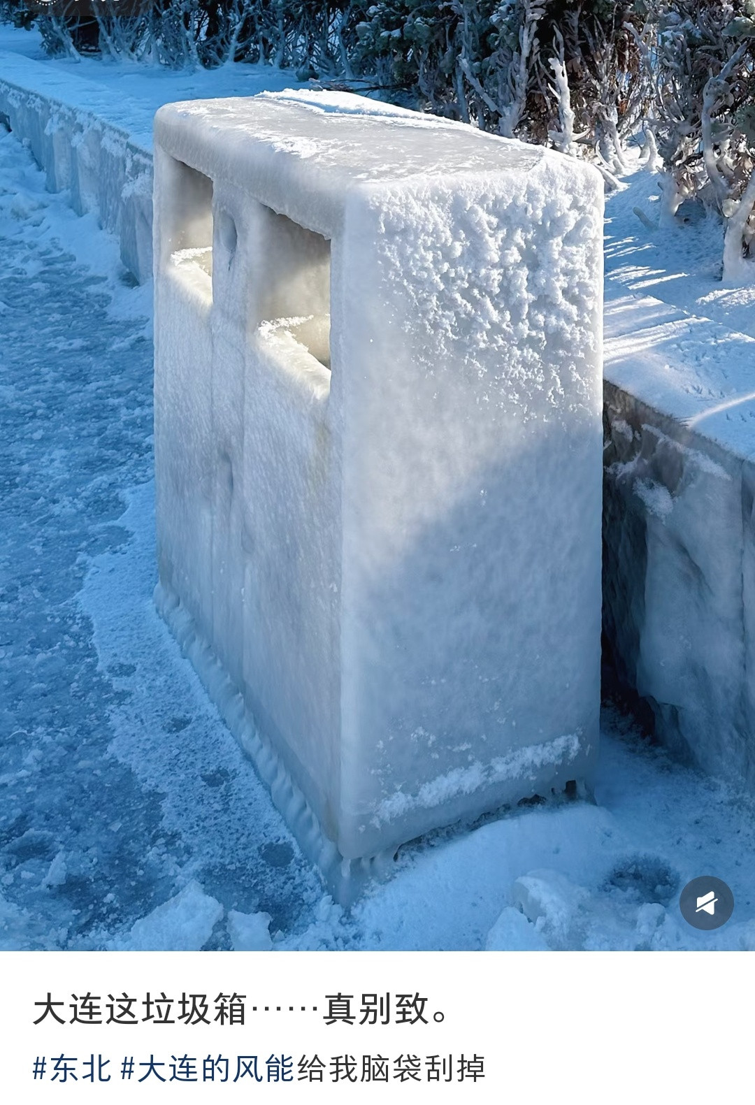 大连的垃圾桶都冻成汉白玉了