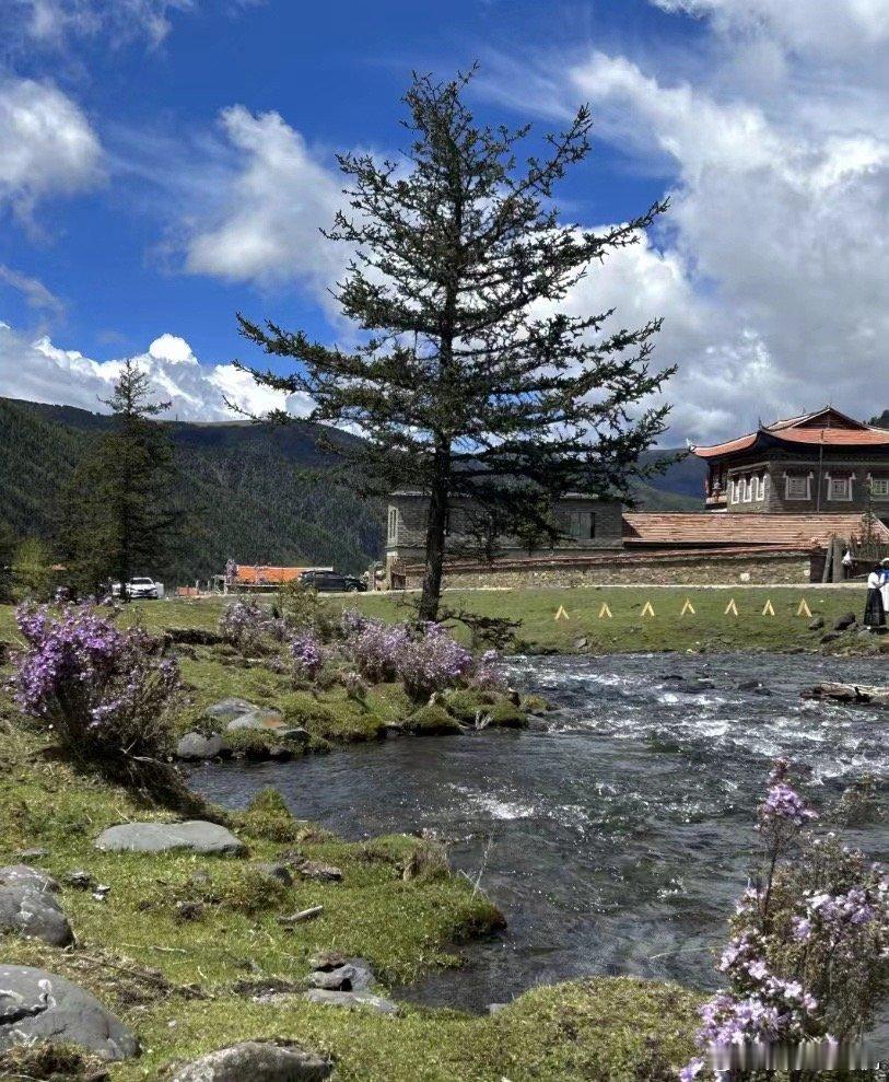 夏天的川西永远不缺生命力雪山顶着烈日，溪流奔涌向前，草甸铺满新绿，在这里，每一