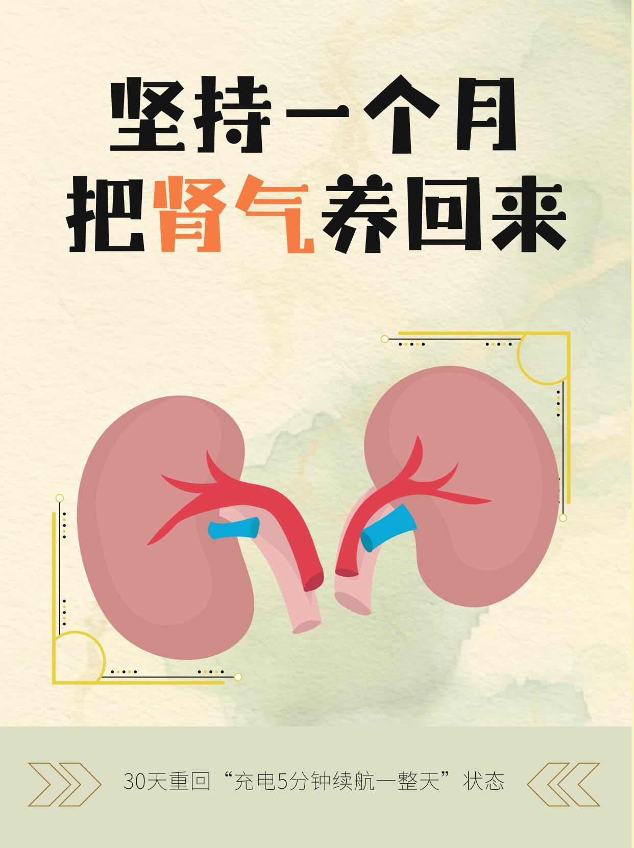 养肾固本30天5个中yi古法助你重拾充沛肾气||在中医理论中，肾为“先天之本”，