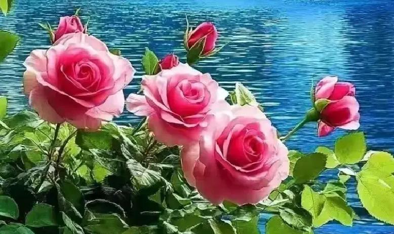 最近，婚姻话题又火了！数据显示，2023年中国离婚率达3.4‰，许多夫妻在柴米油