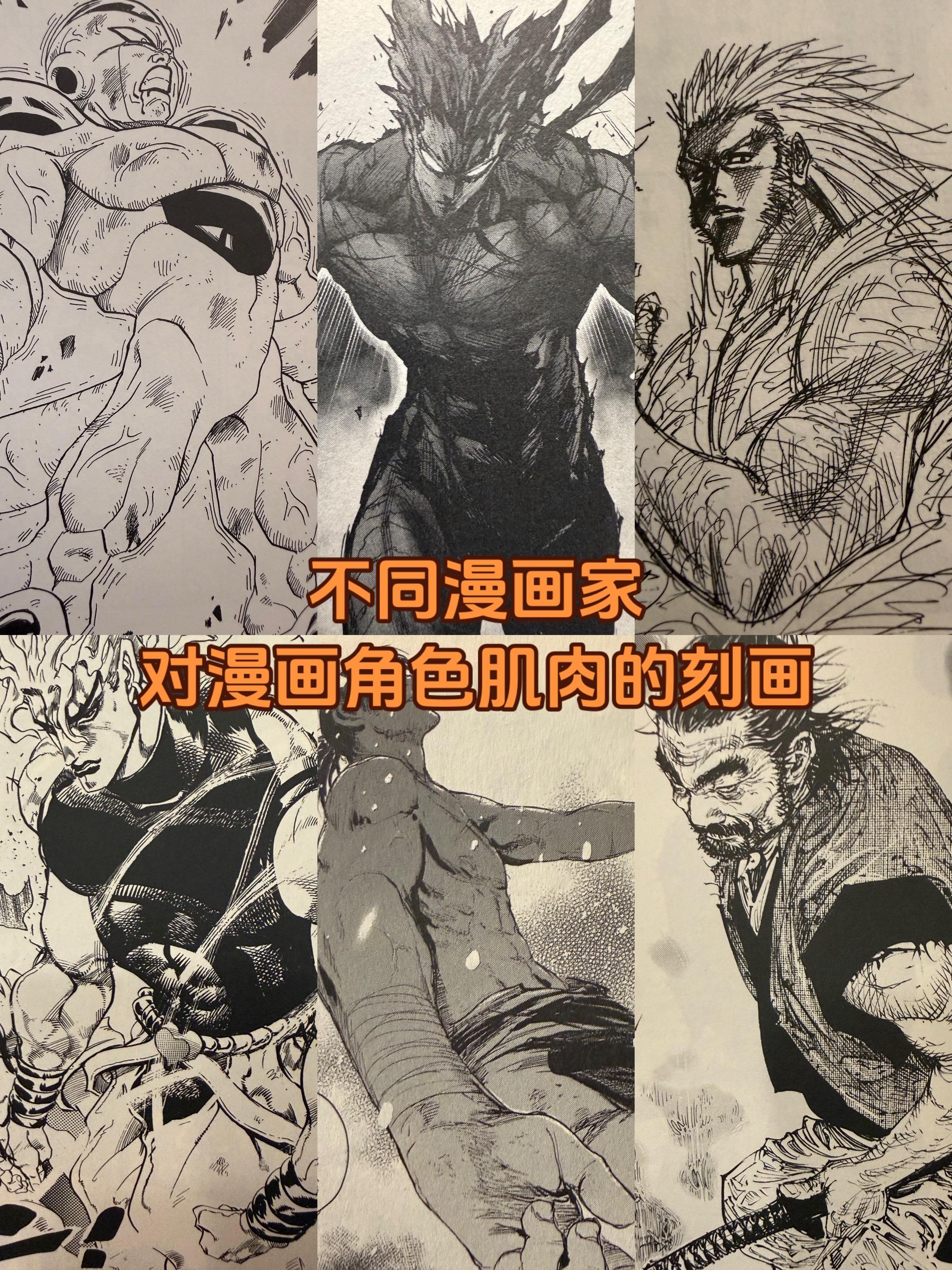关于漫画。不同的漫画家对角色肌肉的刻画