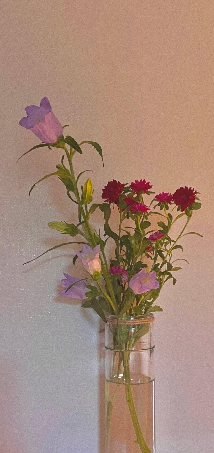 今日壁纸​​​