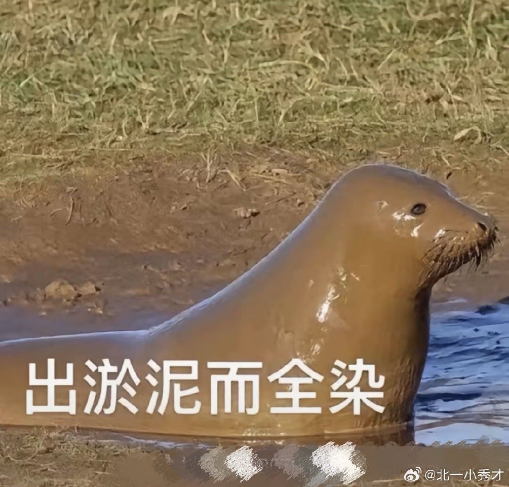 愚人节一键切换新身份被愚人节新身份整笑了被愚人节新身份整笑了，90后网文沙雕爱