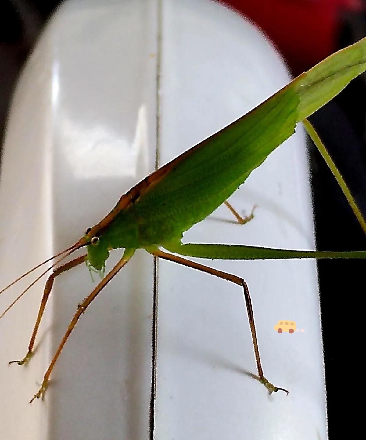 我老公那个小三，简直是来做慈善的。她自己有老公，生了俩儿子，家庭好好的。再看我